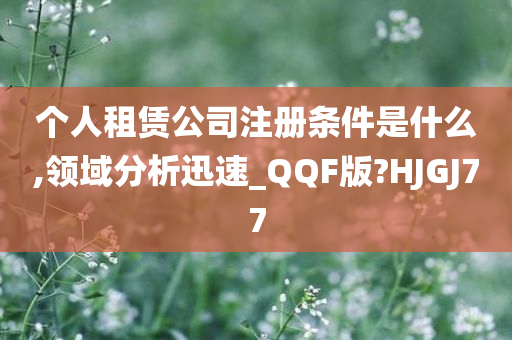 个人租赁公司注册条件是什么,领域分析迅速_QQF版?HJGJ77