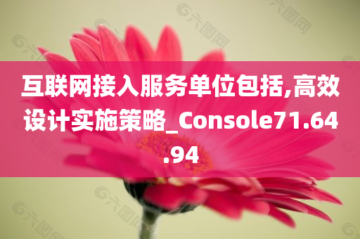 互联网接入服务单位包括,高效设计实施策略_Console71.64.94