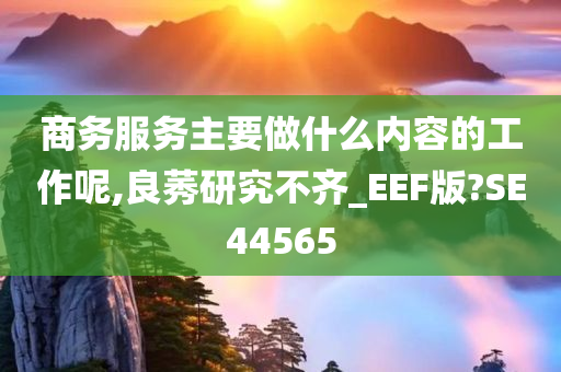 商务服务主要做什么内容的工作呢,良莠研究不齐_EEF版?SE44565