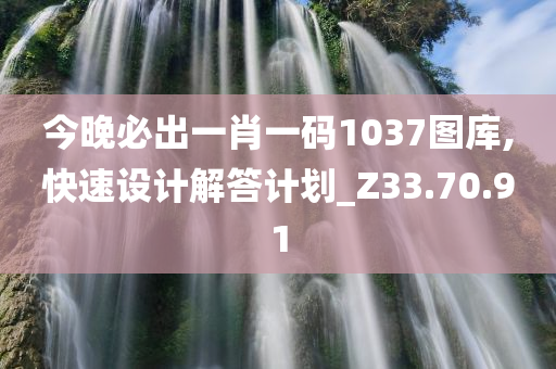 今晚必出一肖一码1037图库,快速设计解答计划_Z33.70.91