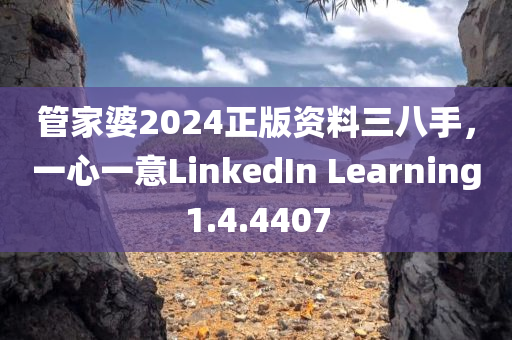 管家婆2024正版资料三八手，一心一意LinkedIn Learning1.4.4407