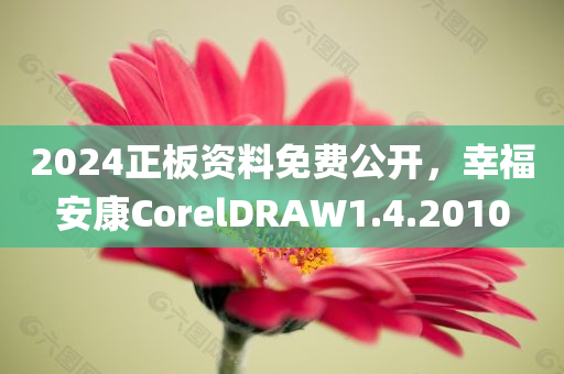 2024正板资料免费公开，幸福安康CorelDRAW1.4.2010