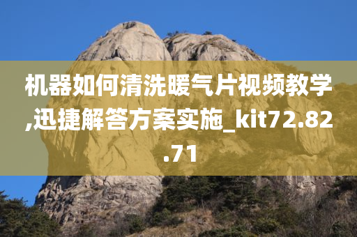 机器如何清洗暖气片视频教学,迅捷解答方案实施_kit72.82.71