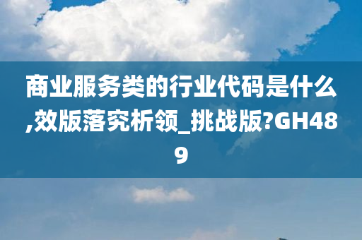 商业服务类的行业代码是什么,效版落究析领_挑战版?GH489