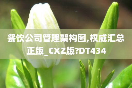 餐饮公司管理架构图,权威汇总正版_CXZ版?DT434