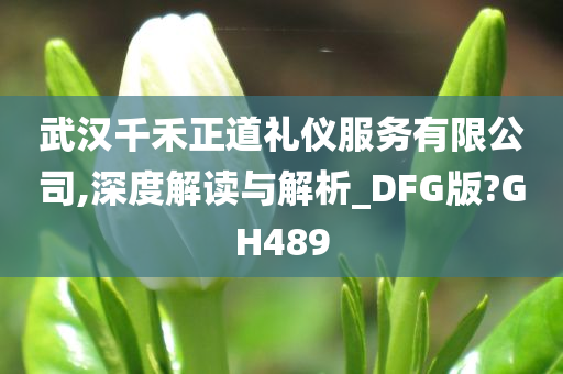 武汉千禾正道礼仪服务有限公司,深度解读与解析_DFG版?GH489