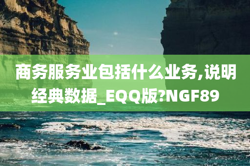 商务服务业包括什么业务,说明经典数据_EQQ版?NGF89