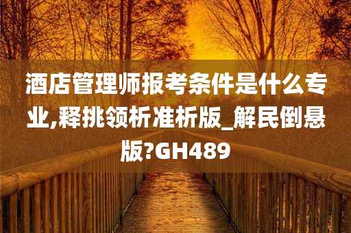 酒店管理师报考条件是什么专业,释挑领析准析版_解民倒悬版?GH489