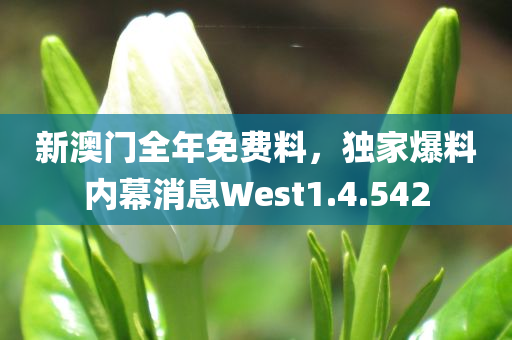 新澳门全年免费料，独家爆料内幕消息West1.4.542