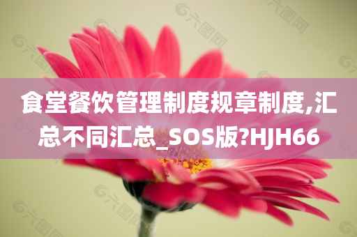 食堂餐饮管理制度规章制度,汇总不同汇总_SOS版?HJH66