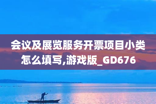 会议及展览服务开票项目小类怎么填写,游戏版_GD676