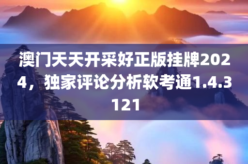 澳门天天开采好正版挂牌2024，独家评论分析软考通1.4.3121