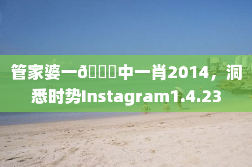 管家婆一🐎中一肖2014，洞悉时势Instagram1.4.23