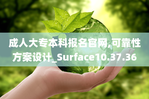 成人大专本科报名官网,可靠性方案设计_Surface10.37.36