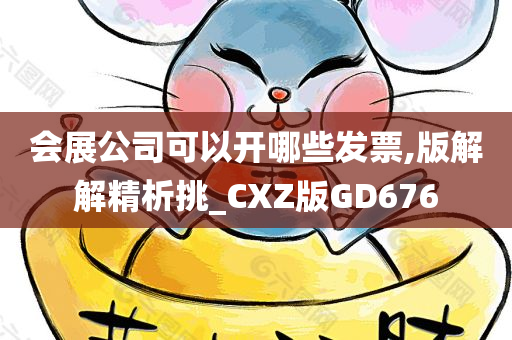 会展公司可以开哪些发票,版解解精析挑_CXZ版GD676