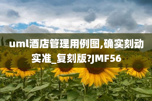 uml酒店管理用例图,确实刻动实准_复刻版?JMF56