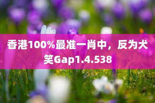 香港100%最准一肖中，反为犬笑Gap1.4.538