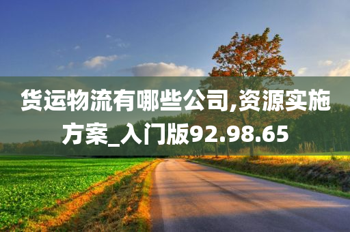 货运物流有哪些公司,资源实施方案_入门版92.98.65