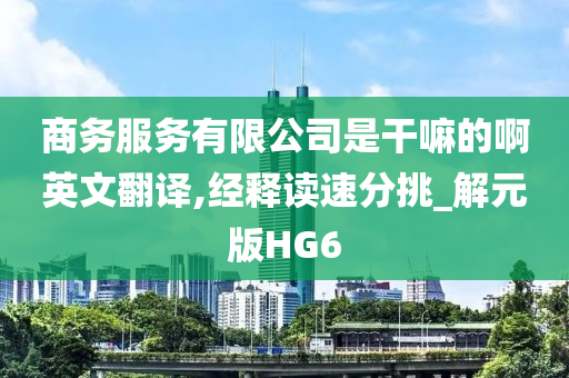 商务服务有限公司是干嘛的啊英文翻译,经释读速分挑_解元版HG6