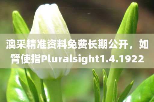 澳采精准资料免费长期公开，如臂使指Pluralsight1.4.1922