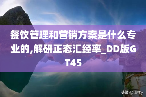 餐饮管理和营销方案是什么专业的,解研正态汇经率_DD版GT45