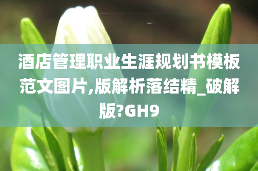 酒店管理职业生涯规划书模板范文图片,版解析落结精_破解版?GH9