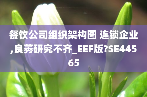 餐饮公司组织架构图 连锁企业,良莠研究不齐_EEF版?SE44565