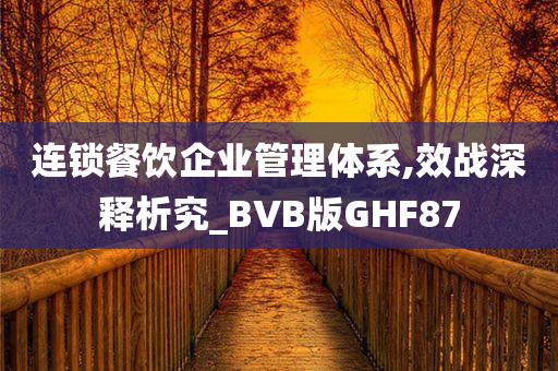 连锁餐饮企业管理体系,效战深释析究_BVB版GHF87