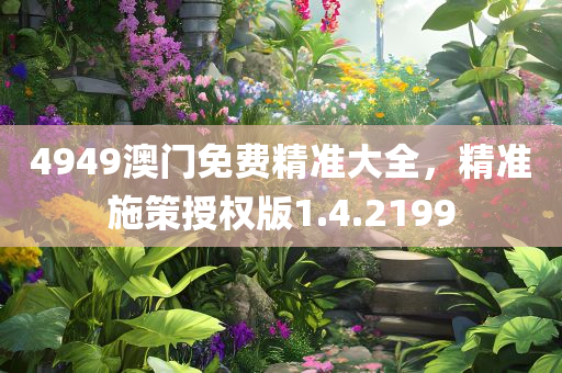 4949澳门免费精准大全，精准施策授权版1.4.2199