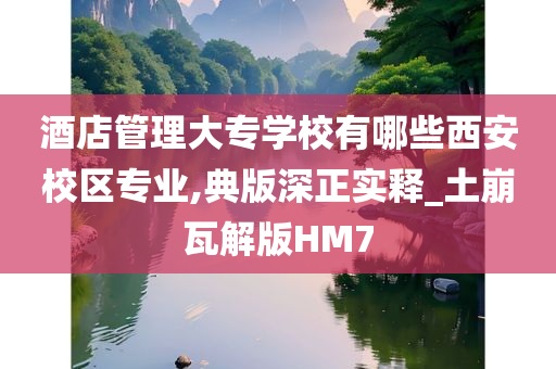 酒店管理大专学校有哪些西安校区专业,典版深正实释_土崩瓦解版HM7