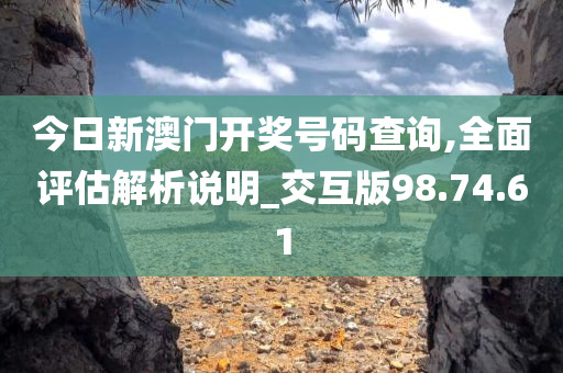 今日新澳门开奖号码查询,全面评估解析说明_交互版98.74.61