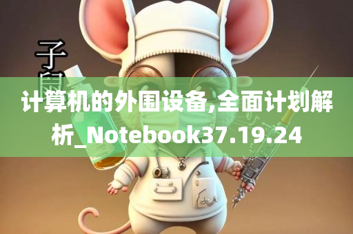 计算机的外围设备,全面计划解析_Notebook37.19.24