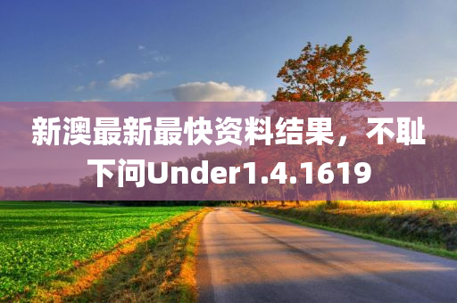 新澳最新最快资料结果，不耻下问Under1.4.1619