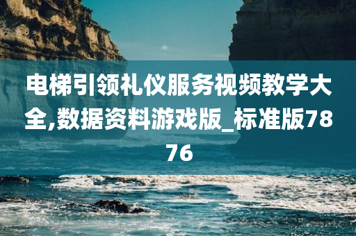 电梯引领礼仪服务视频教学大全,数据资料游戏版_标准版7876