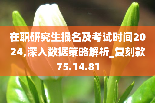 在职研究生报名及考试时间2024,深入数据策略解析_复刻款75.14.81