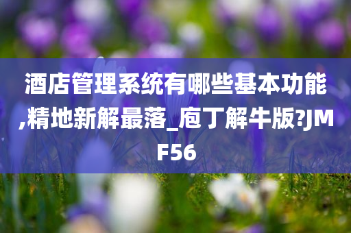 酒店管理系统有哪些基本功能,精地新解最落_庖丁解牛版?JMF56