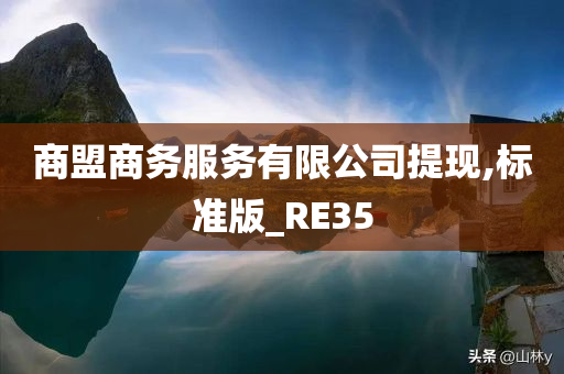 商盟商务服务有限公司提现,标准版_RE35