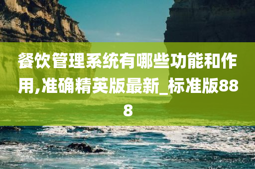 餐饮管理系统有哪些功能和作用,准确精英版最新_标准版888