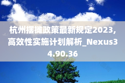 杭州摆摊政策最新规定2023,高效性实施计划解析_Nexus34.90.36