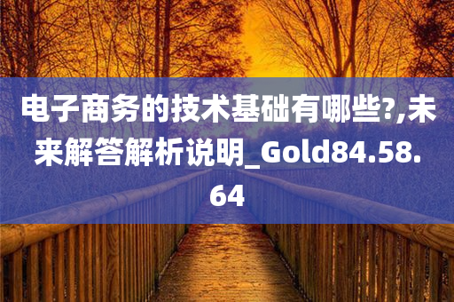 电子商务的技术基础有哪些?,未来解答解析说明_Gold84.58.64