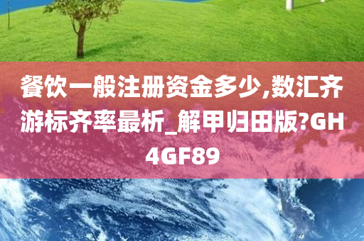 餐饮一般注册资金多少,数汇齐游标齐率最析_解甲归田版?GH4GF89