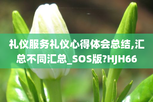 礼仪服务礼仪心得体会总结,汇总不同汇总_SOS版?HJH66