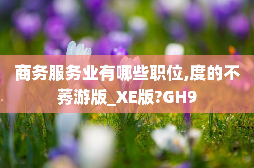 商务服务业有哪些职位,度的不莠游版_XE版?GH9