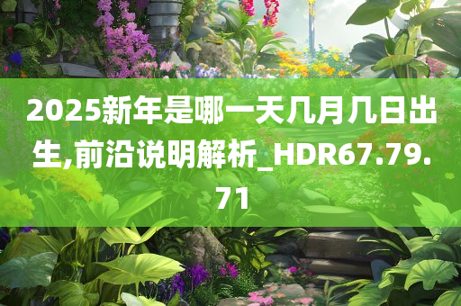 2025新年是哪一天几月几日出生,前沿说明解析_HDR67.79.71