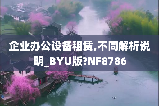 企业办公设备租赁,不同解析说明_BYU版?NF8786