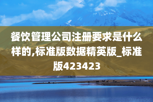 餐饮管理公司注册要求是什么样的,标准版数据精英版_标准版423423