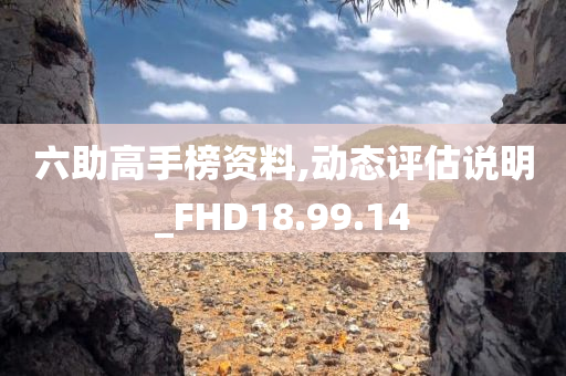 六助高手榜资料,动态评估说明_FHD18.99.14