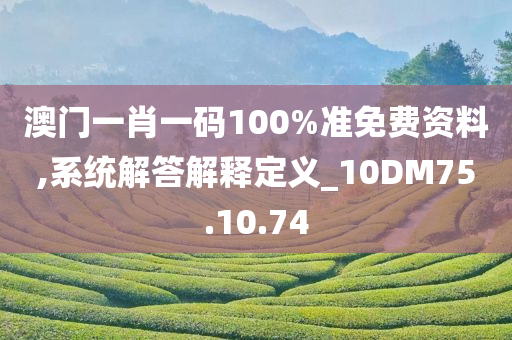 澳门一肖一码100%准免费资料,系统解答解释定义_10DM75.10.74