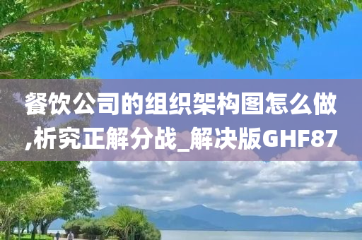 餐饮公司的组织架构图怎么做,析究正解分战_解决版GHF87