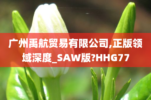 广州禹航贸易有限公司,正版领域深度_SAW版?HHG77